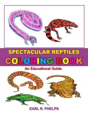 Reptiles Coloring book